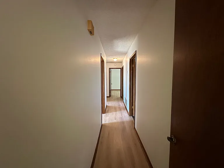 3225 Sabal Palm Dr — Photo 19