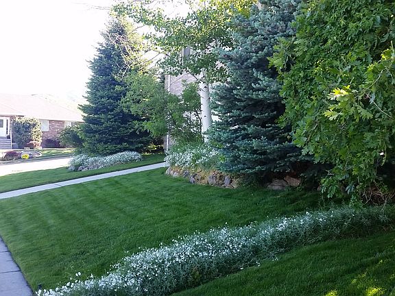 3rd image of 3132 E Lostwood Dr