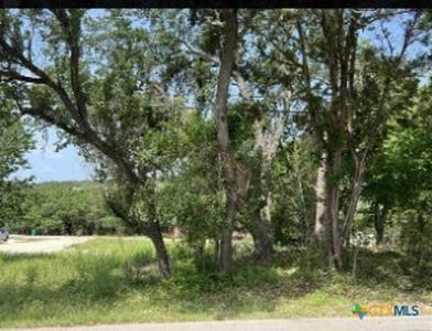 1456 Lonesome, Canyon Lake, TX, 78133