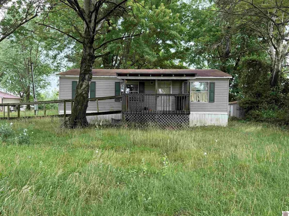 10670 Princeton Rd, Cerulean, KY 42215