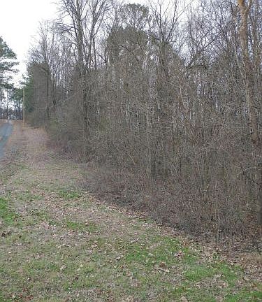 2nd image of 6708 Cahaba Ln