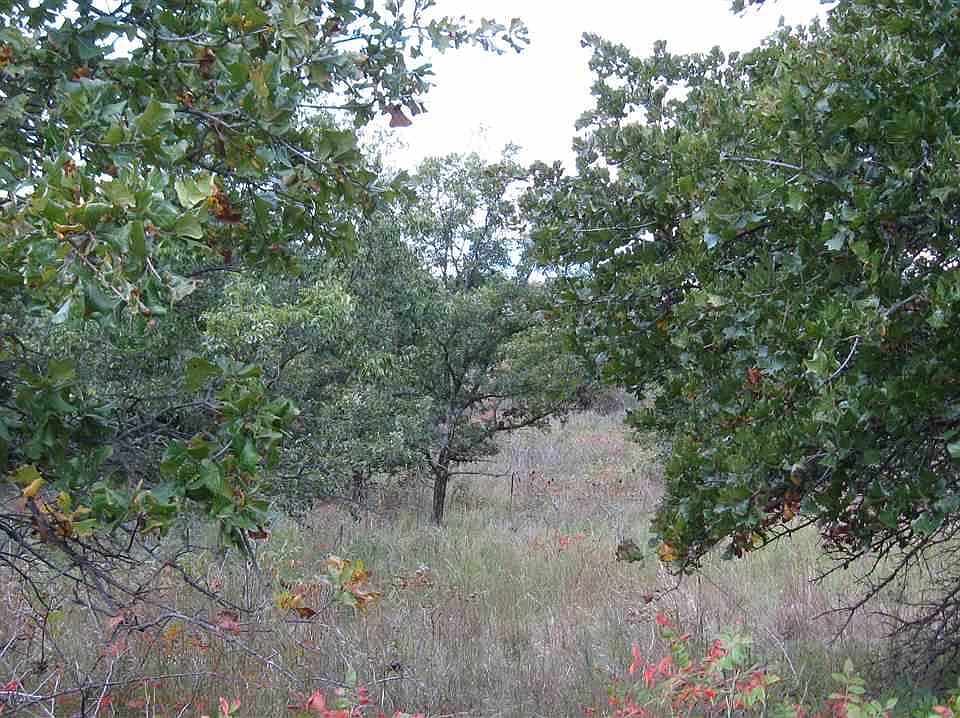 1st image of 125 Road 31