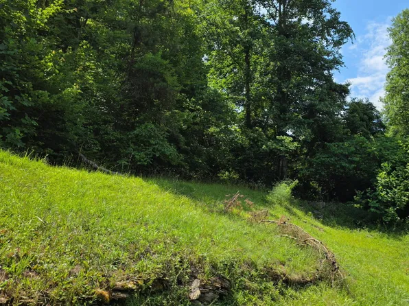 19 Harlan Ln, Buckhorn, KY 41721