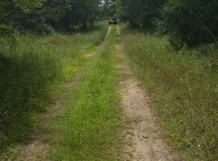 Wise Rd, Greenville, MI 48838