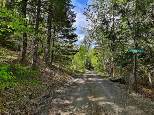 98 Wilcox Peak Road, Pittsfield, VT 05762