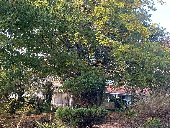 3rd image of 2664 County Road 3011