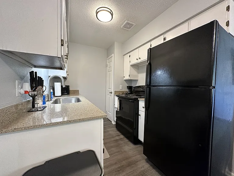 3801 Elizabeth St #3PINEY-10 — Photo 15
