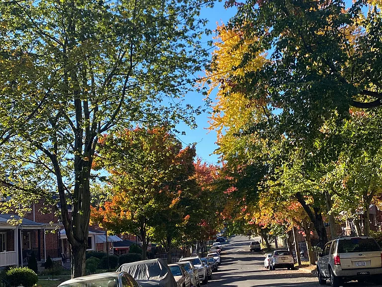Fort Davis St SE — Photo 9