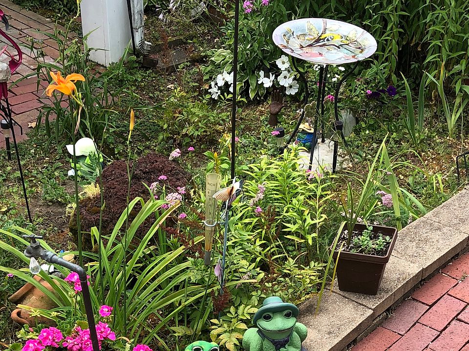 Garden in back
