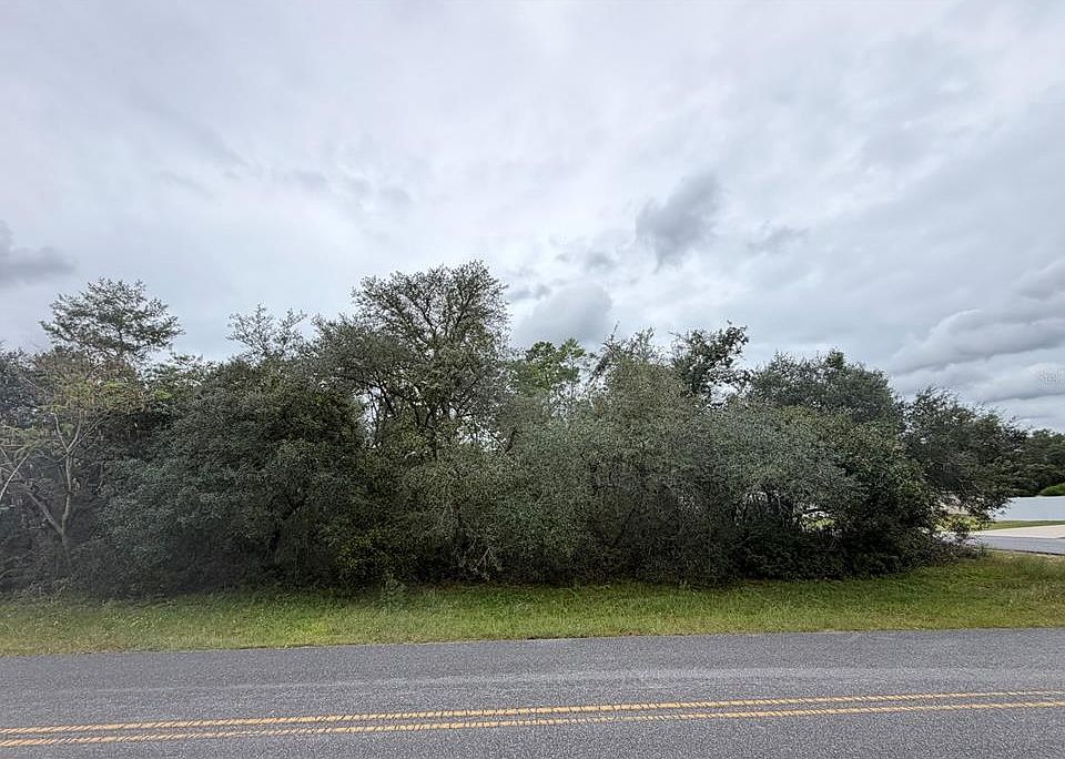 1st image of MARION OAKS GOLF WAY AND 166TH PLACE ROAD LOT 1