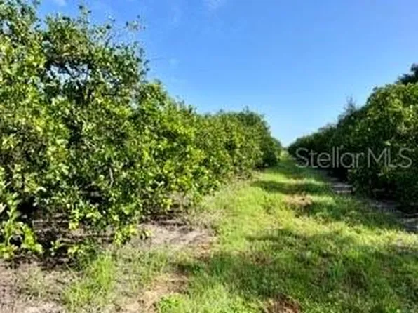Steve Roberts Special Lot 0, Zolfo Springs, FL 33890