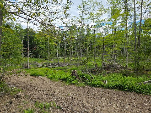 4th image of 416 Ouaquaga Rd