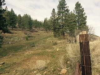 2nd image of 0 Loop #25-13