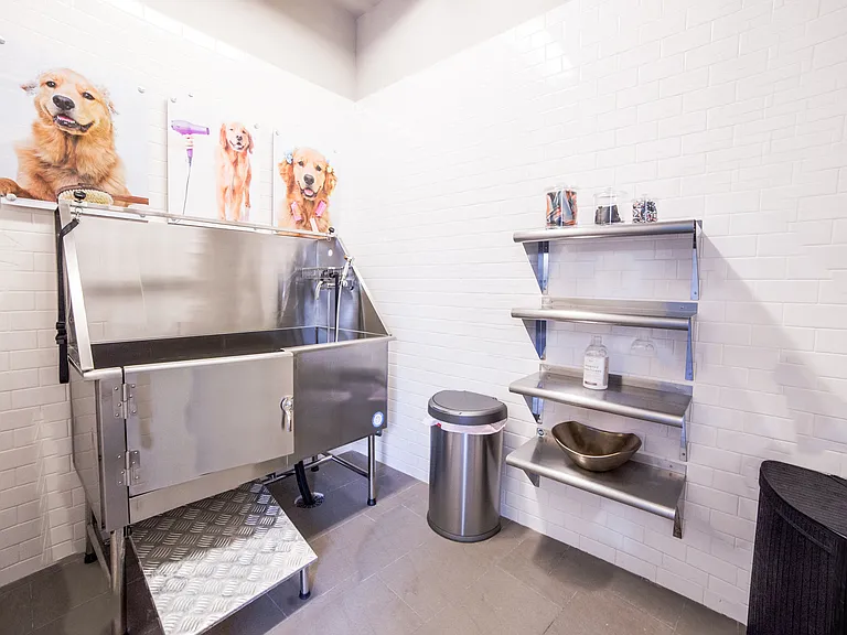 Pet Wash Station