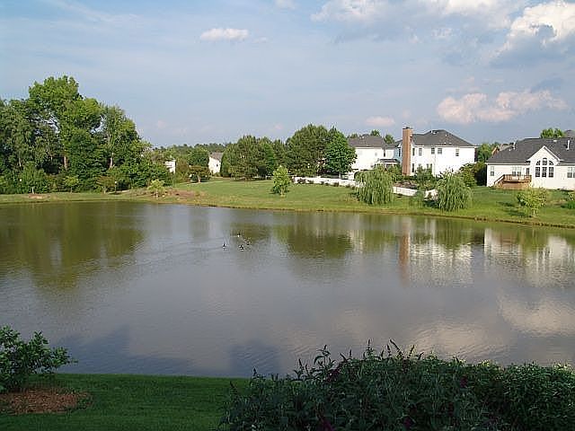 View from back deck