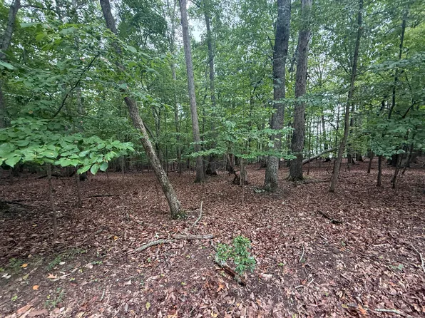 17 Saunders Point Rd, Huddleston, VA 24104