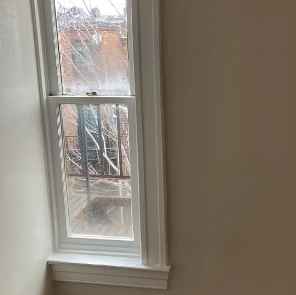 251 Robert St #6 — Photo 16