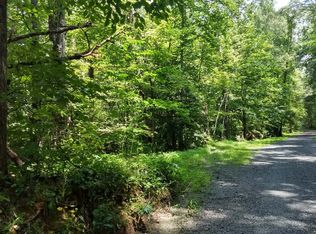 3.01 Doublehead Gap Rd E, Ellijay, GA 30536