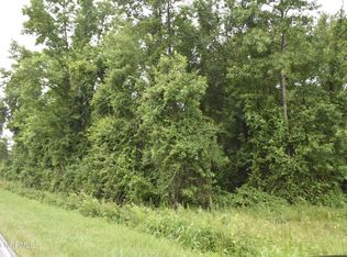 1724 Off Cornmill Rd #1724, Beulaville, NC 28518