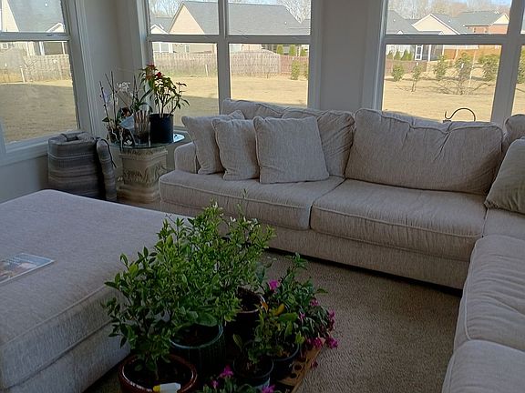 Sunroom - facing morning sun
