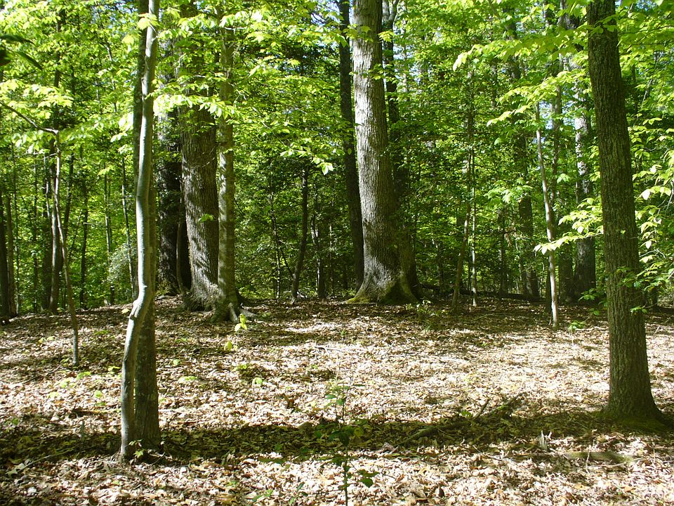 1st image of 161 Barlow Road