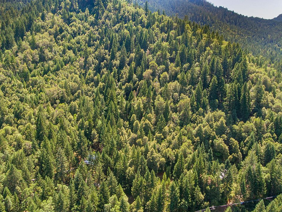 2nd image of 4889 Thompson Creek Rd