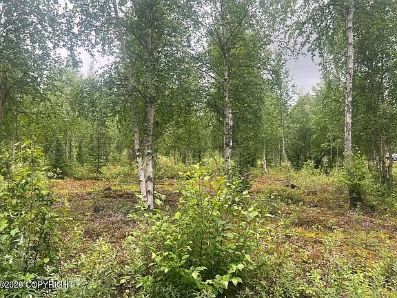 2nd image of 4758 S Horseshoe Lake Rd