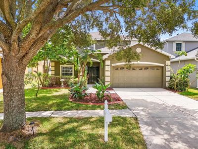 11135 Creek Haven Dr, Riverview, FL, 33569