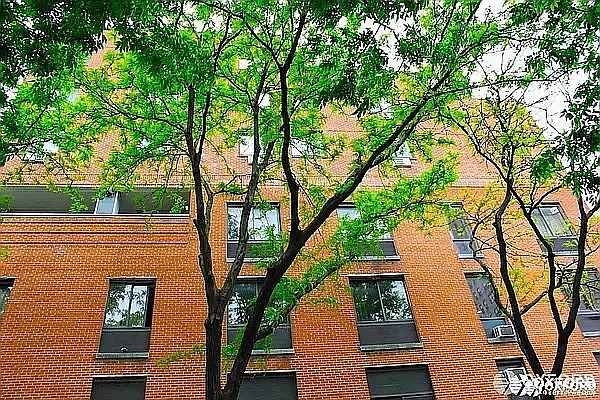 Rented by Oxford Property Group | media 45