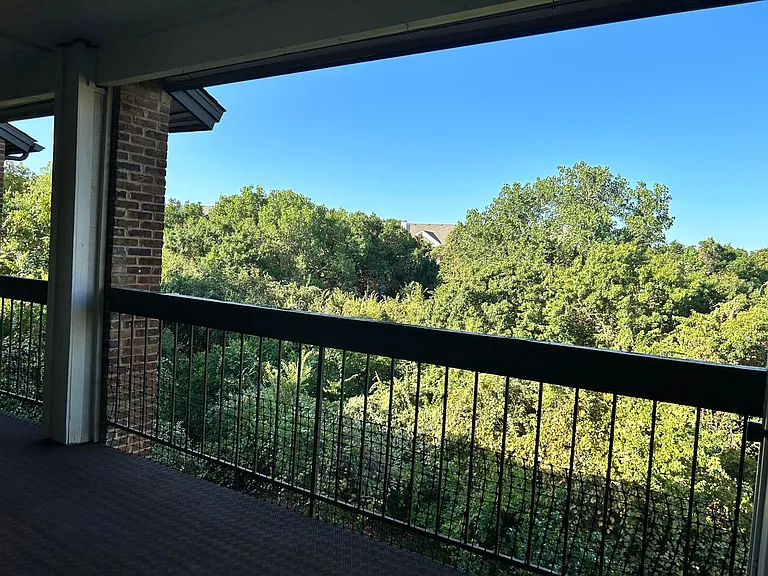 1734 Ascension Point Dr — Photo 19