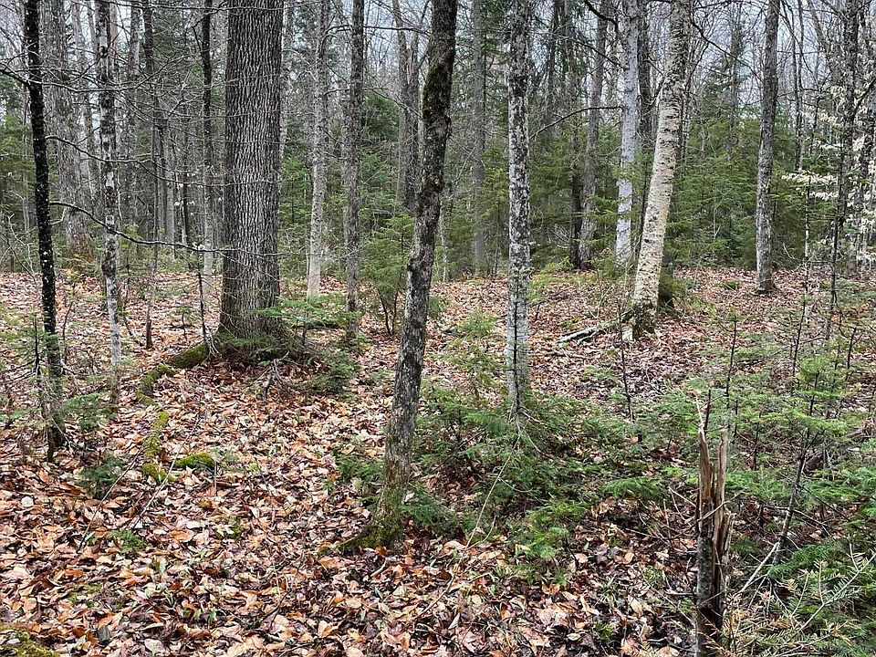 2nd image of 9 Heald Pond Road
