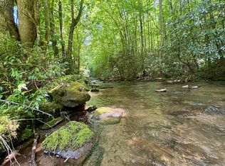 48 E Alarka Rd, Bryson City, NC 28713