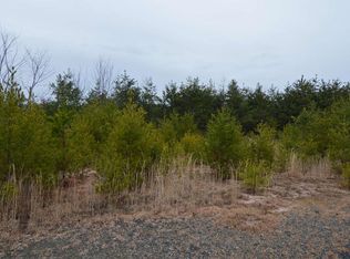 LOT 2 Lot 2 Preserve, Hayesville, NC 28904