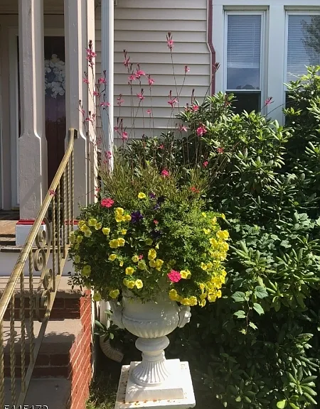 207 Broad St — Photo 2