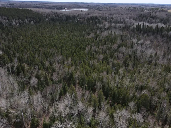 40 Tbd Co Rd, Effie, MN 56639