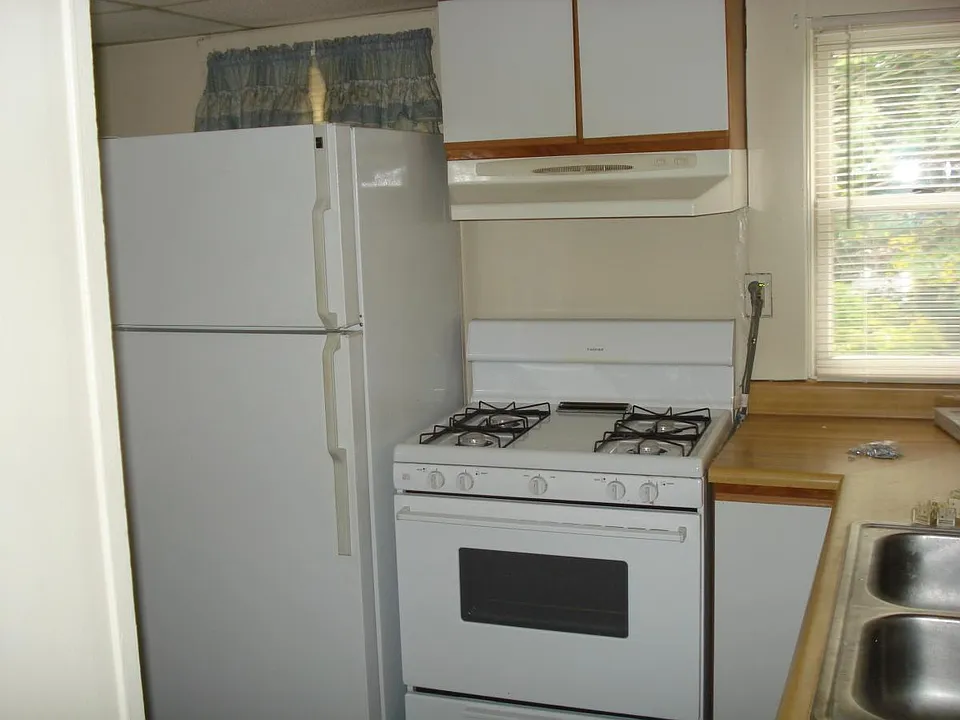 Gas stove