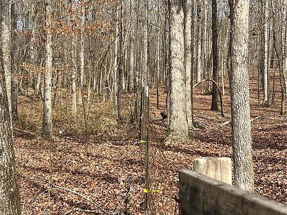 2nd image of 325 Everett Springs Rd NE