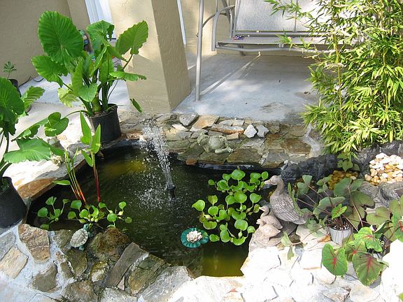 FISH POND 