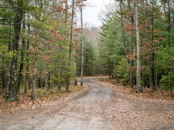 LOT 22 Buck Ridges Rd, Franklin, WV 26807