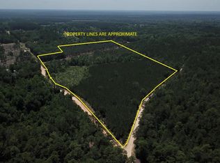 0 Stacey Bridge Rd, Orangeburg, SC 29118