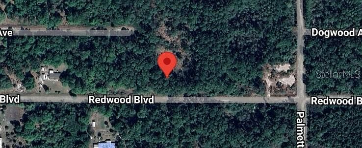 1st image of 324 Redwood Blvd #33