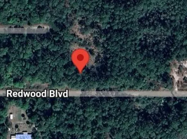 324 Redwood Blvd #33, Georgetown, FL 32139