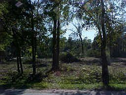 2nd image of 17827 Bamwood Dr