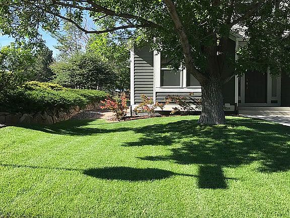 Manicured Lawn & Landscaping