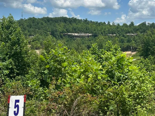 5 Sleepy Hollow Rd, East Bernstadt, KY 40729