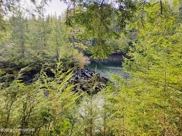 Lots 2a & Union Bay, Hyder, AK 99923