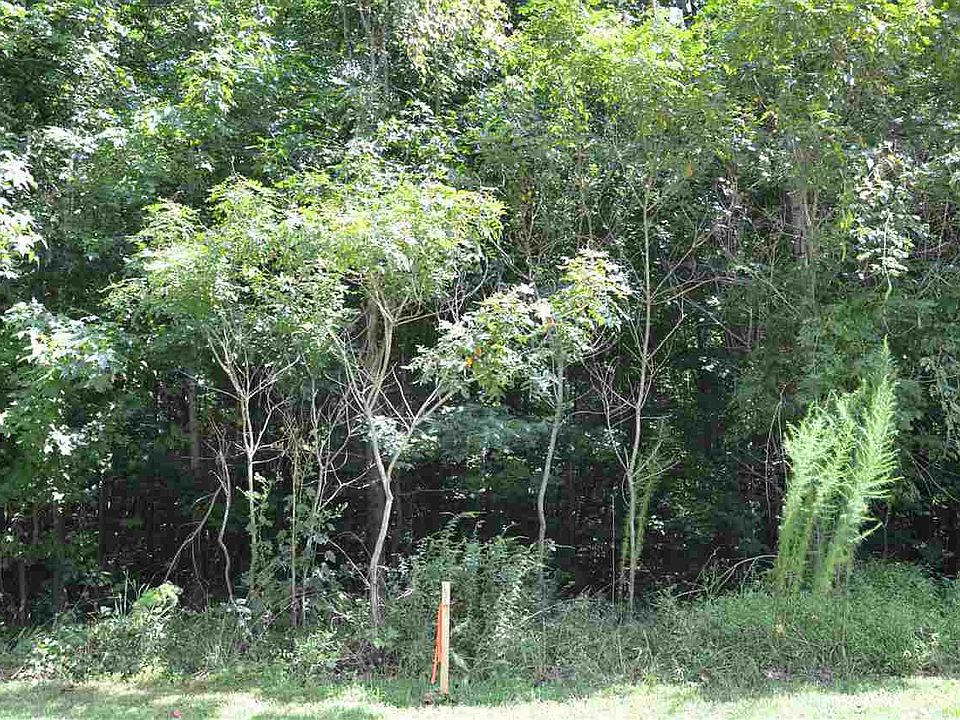 2nd image of 7 Byrd Creek Ln #7