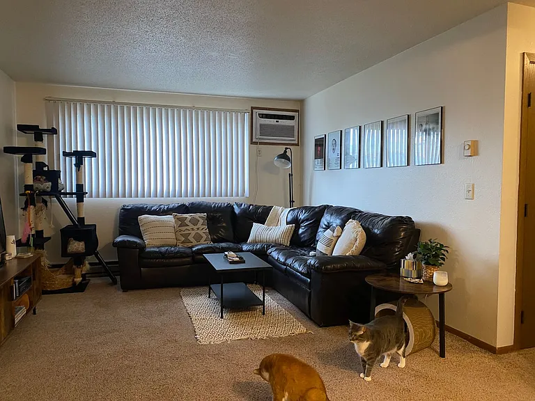 Ashwood Apartments — Photo 21