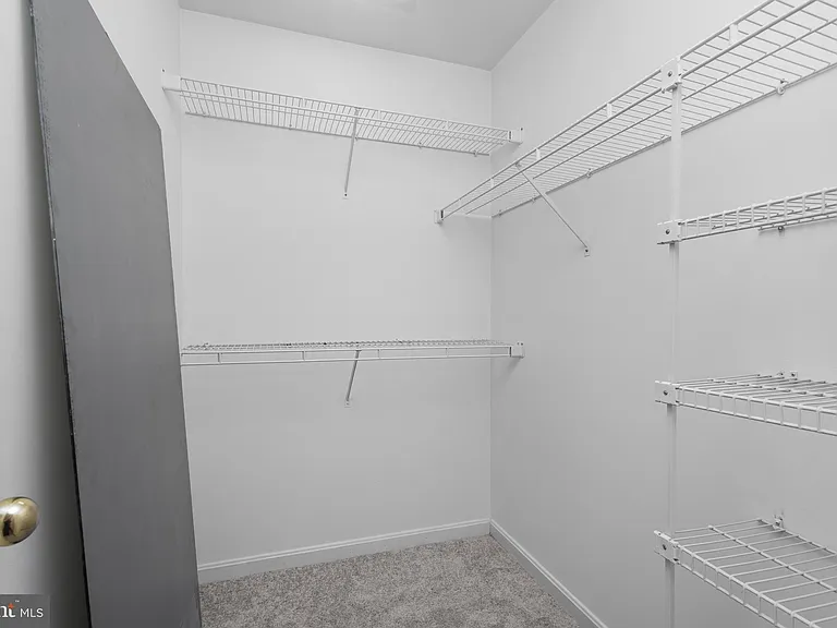 18506 Carriage Walk Cir — Photo 37