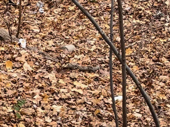 Hillside Avenue, East Hartford, CT 06108